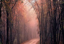 中国花样滑冰跌至谷底,米兰冬奥会很可能仅有一人参赛.